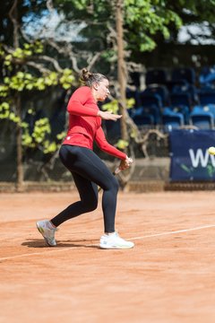 Bild 489 - BL DTV Hannover - BW Dresden Blasewitz : Ergebnis: 2:7